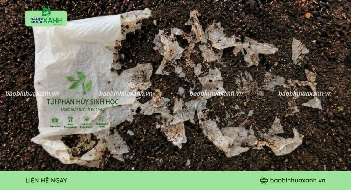 Hạn chế sử dụng Bao Bì Xanh