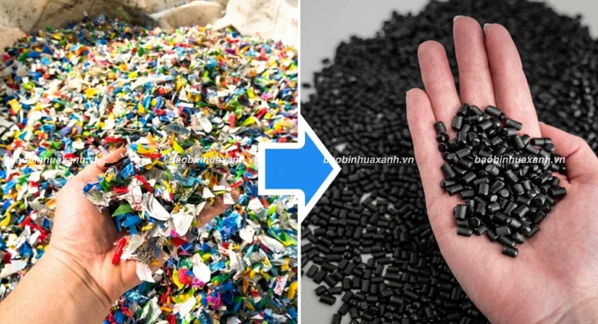 Nhựa Tái Sinh Là Gì? Đặc Điểm, Ứng Dụng Và Cách Phân Biệt