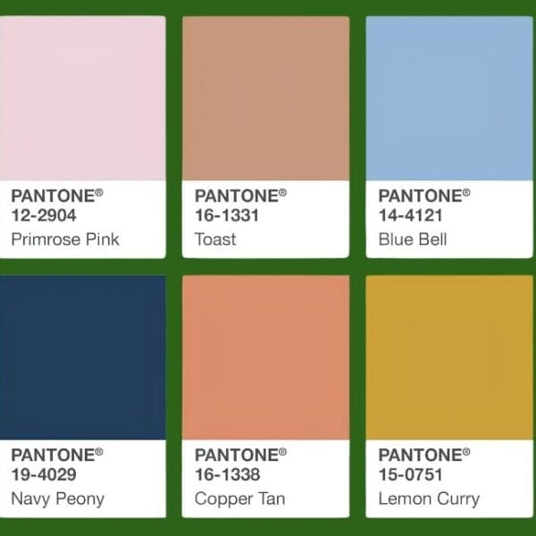 Hệ Màu Pantone Là Gì? Phân Loại Và Ứng Dụng Cụ Thể Trong In Ấn