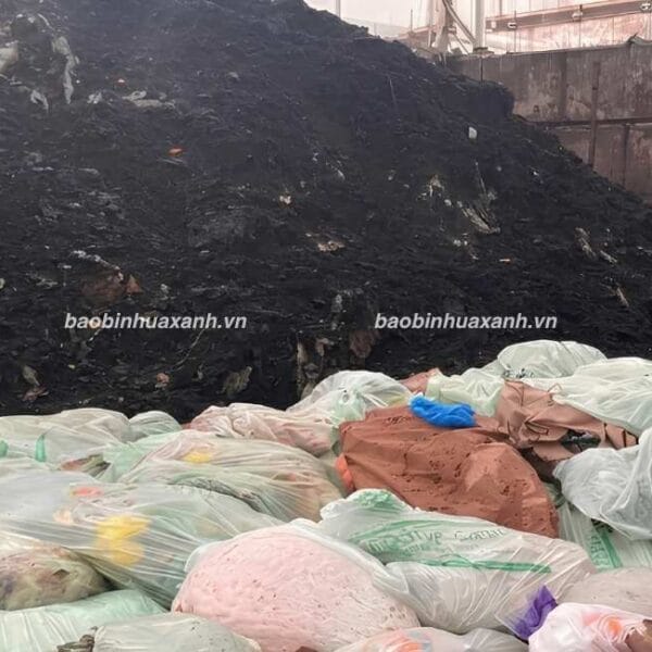 Phân Hủy Công Nghiệp Và Điều Kiện Để Xử Lý Compostable