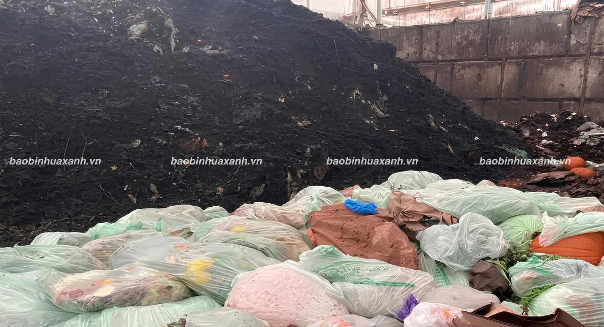 Phân Hủy Công Nghiệp Và Điều Kiện Để Xử Lý Compostable