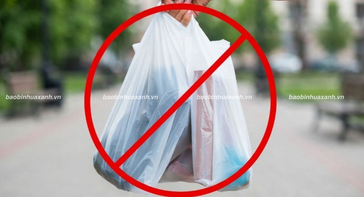 Lộ Trình Cấm Túi Nilon Tại Việt Nam Và Những Điều Cần Biết
