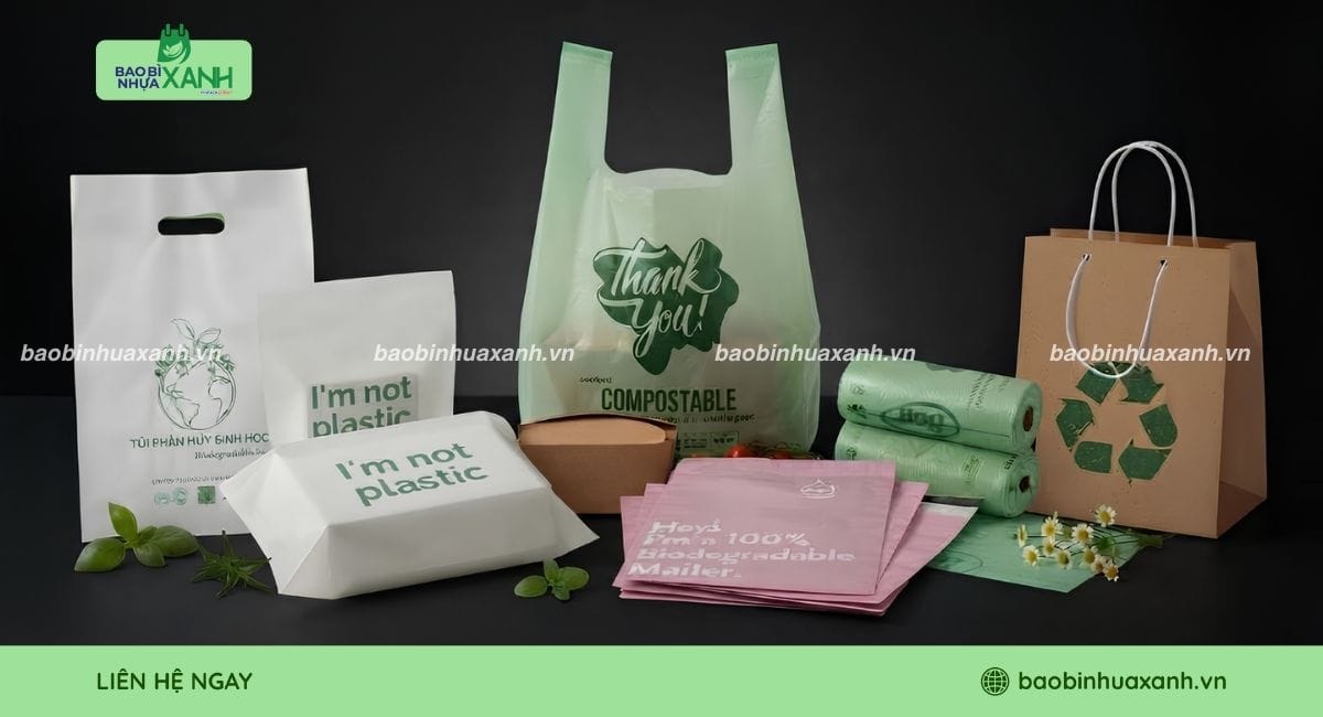 Nhiều loại bao bì thay thế túi nilon