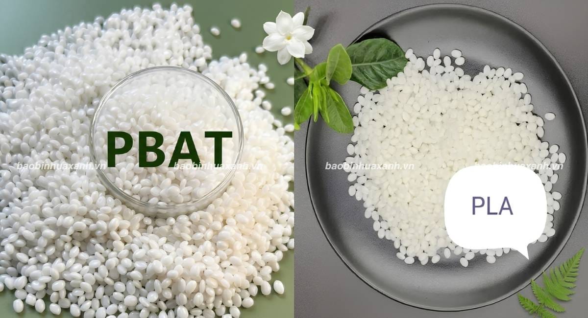So Sánh PLA và PBAT Từ Đặc Tính, Ứng Dụng Đến Cách Phối Trộn Hiệu Quả