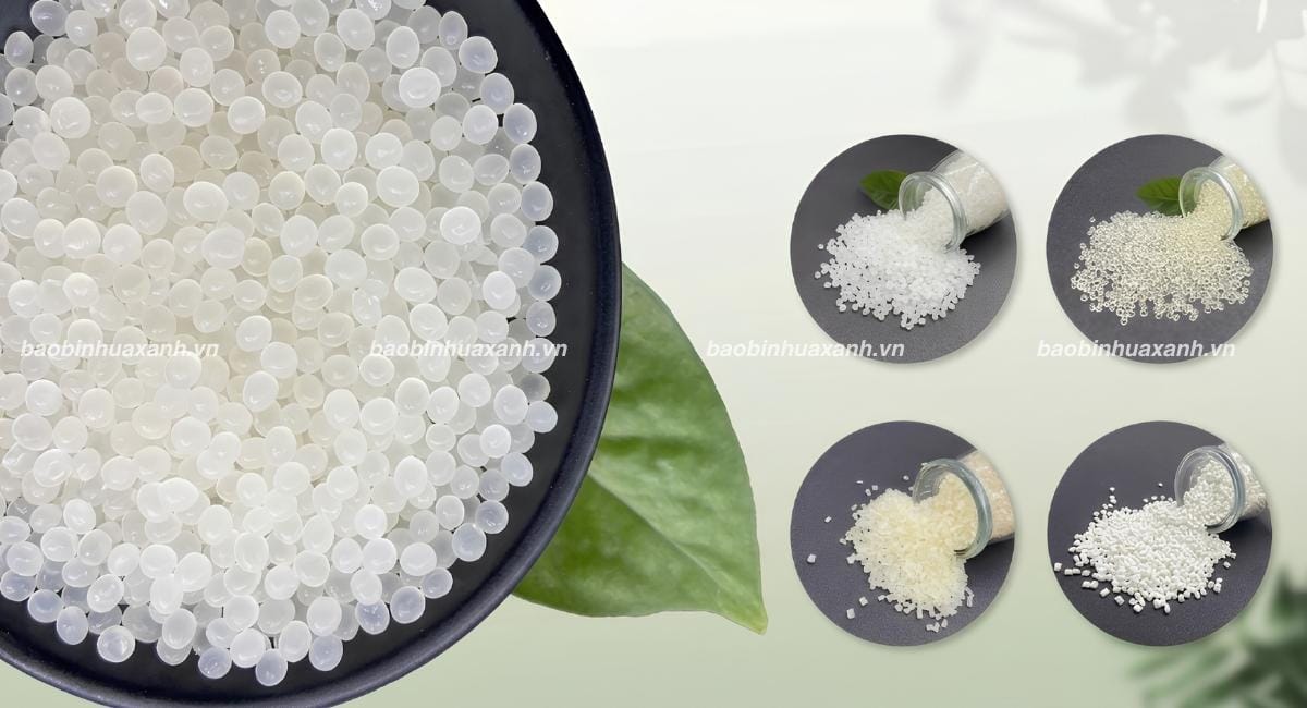 Nhựa Sinh Học Là Gì? Đặc Điểm, Phân Loại Và Ứng Dụng Thực Tế