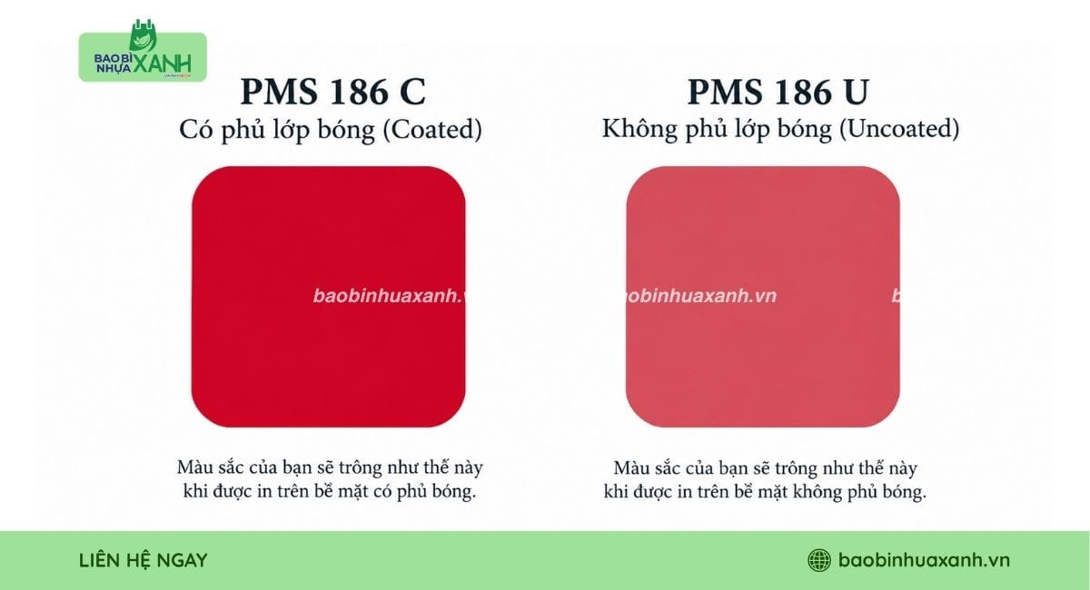 Phân loại hệ màu Pantone Coated và Uncoated