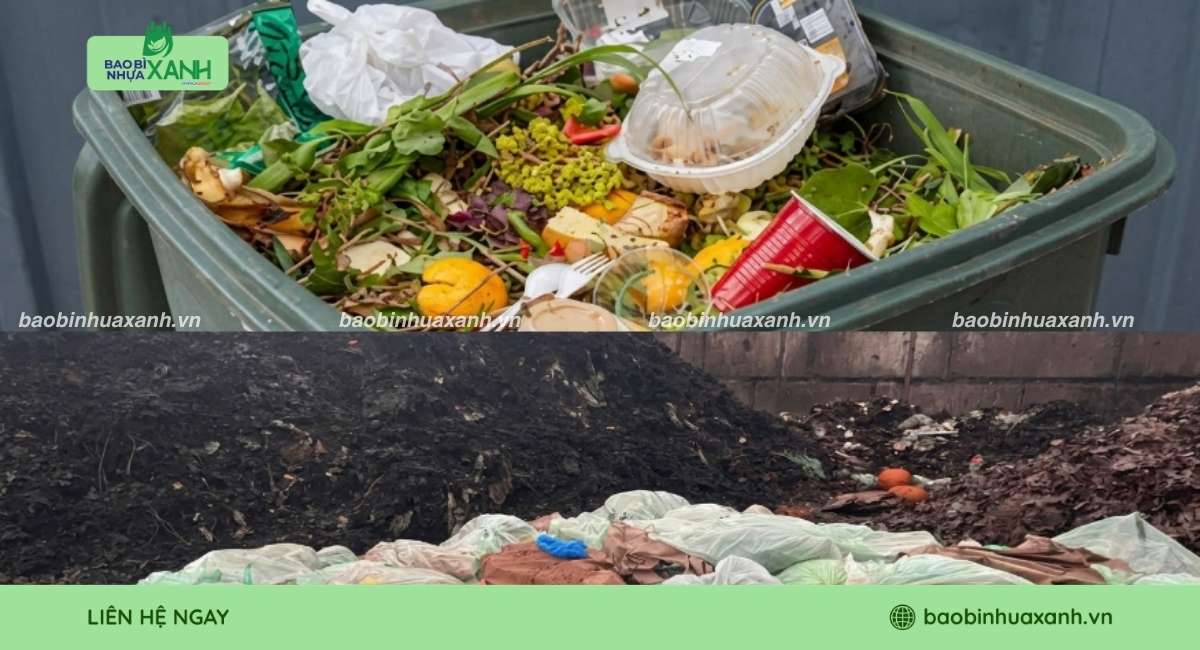 So sánh phân hủy công nghiệp và phân hủy tại nhà