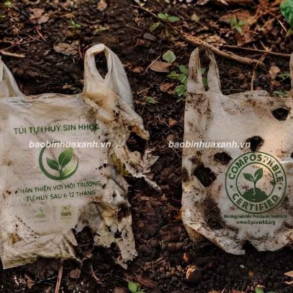 Sự Thật Túi Tự Hủy Sinh Học Và Cách Nhận Biết Đúng Tiêu Chuẩn