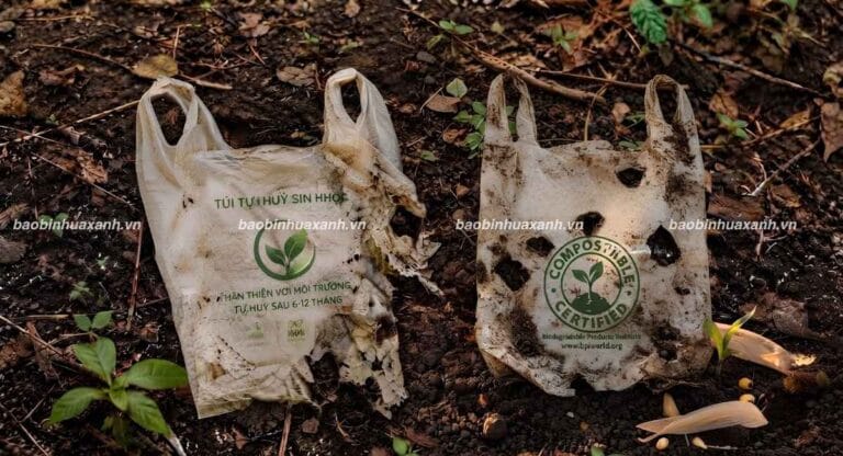 Sự Thật Túi Tự Hủy Sinh Học Và Cách Nhận Biết Đúng Tiêu Chuẩn