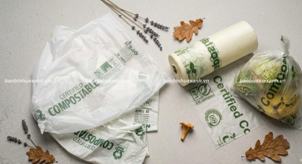 Kiểm Định Chất Lượng Túi Sinh Học Theo Yêu Cầu Thực Tế