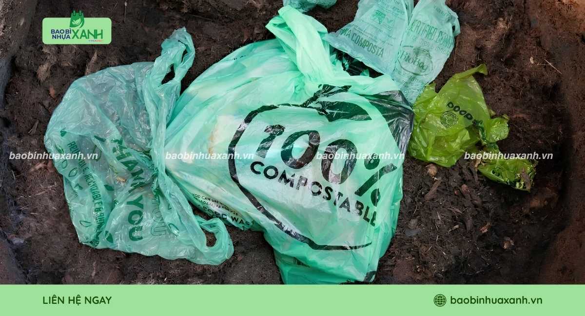 Tìm hiểu về compostable