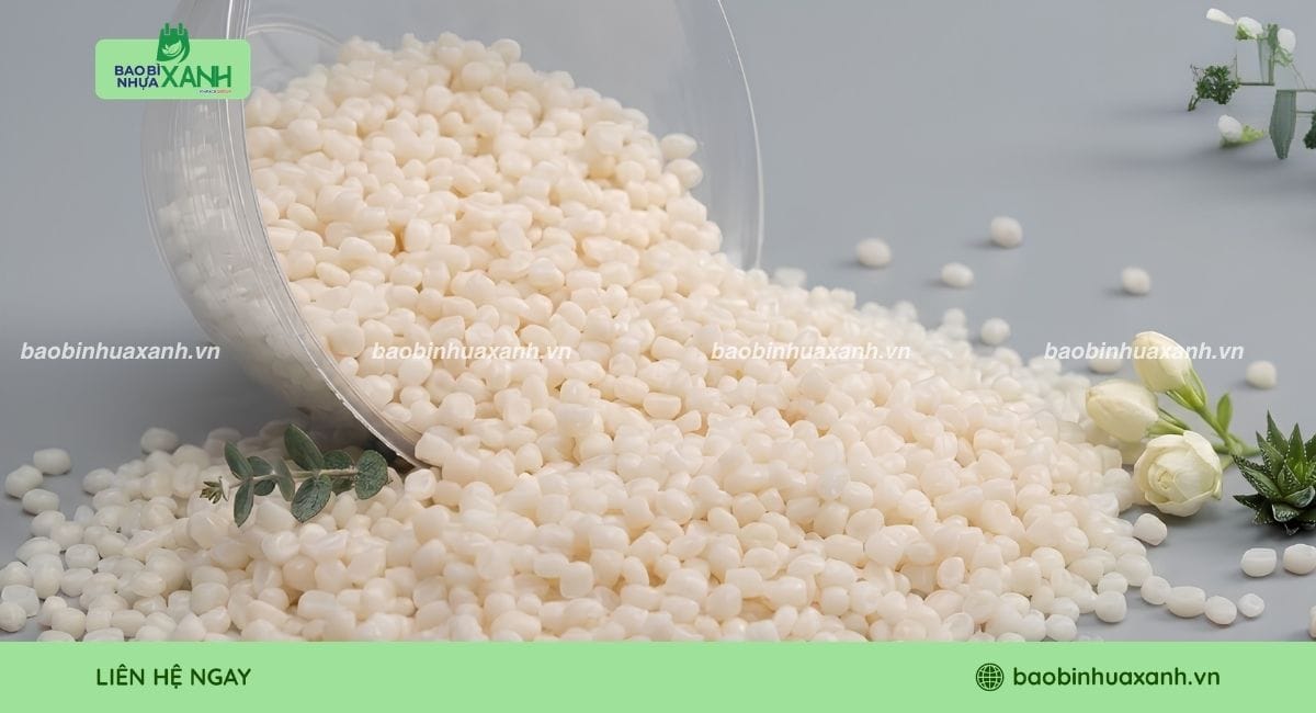 Tìm hiểu về hạt nhựa PBS