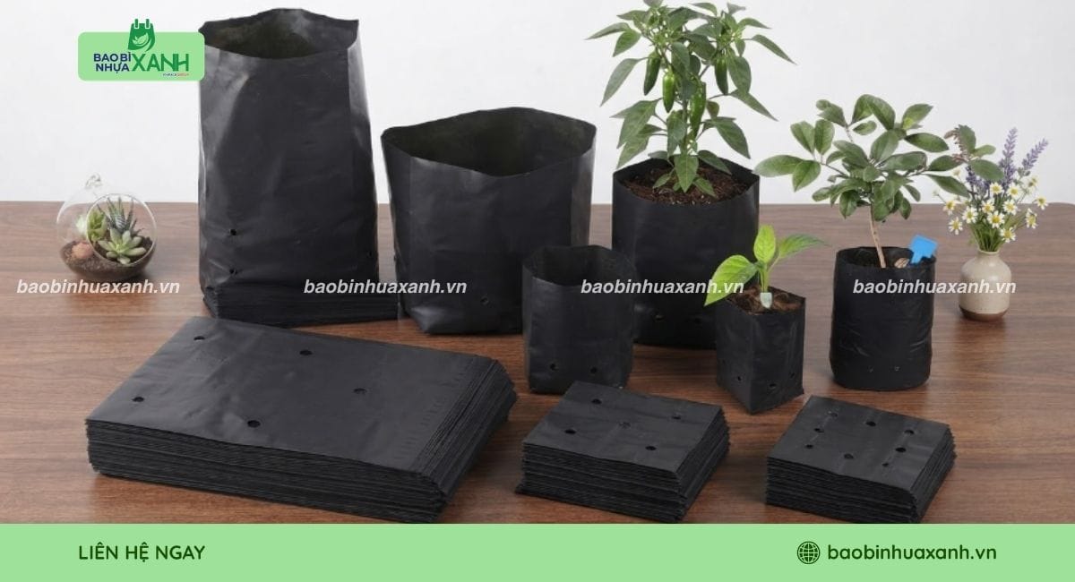 Túi bầu ươm cây bằng vật liệu sinh học