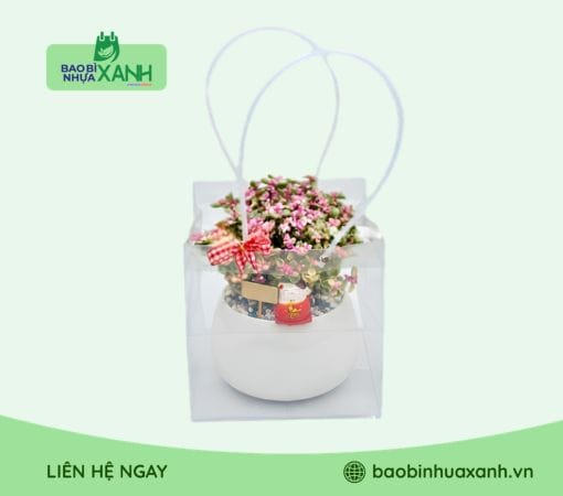 Túi đựng quà trong suốt