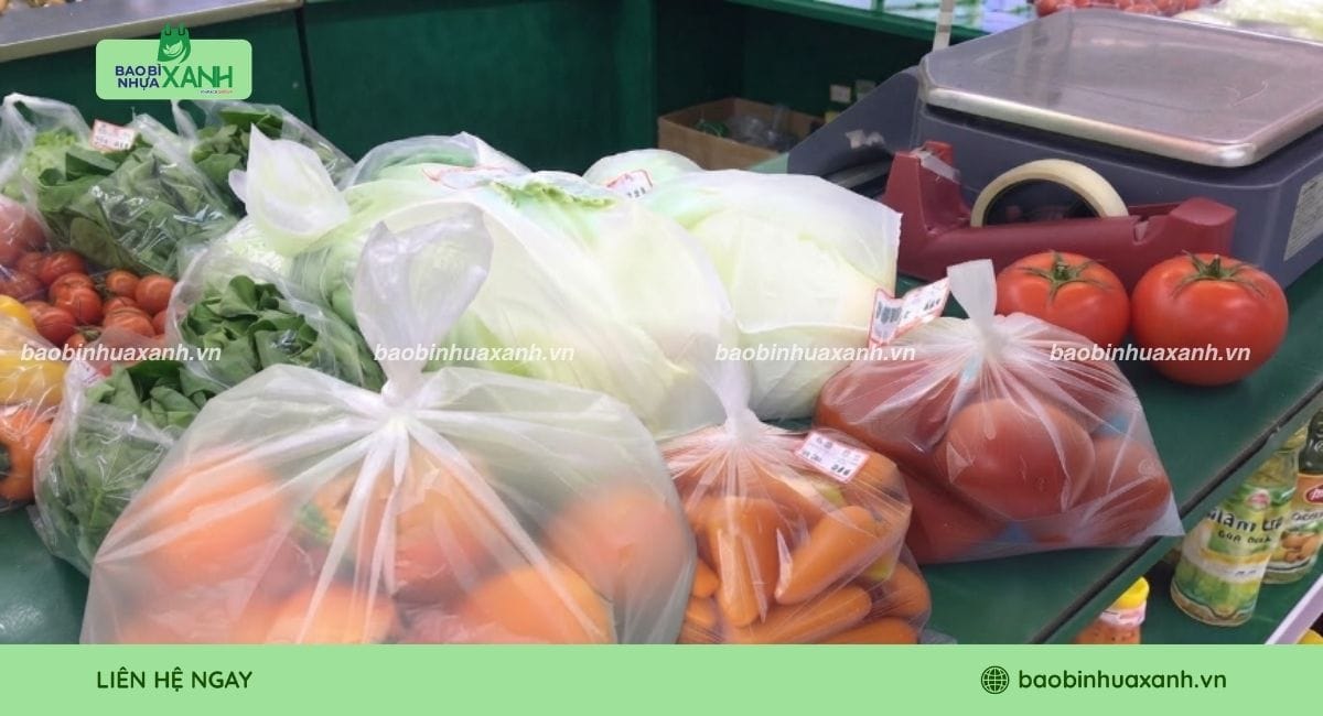Túi sinh học giúp đựng rau củ và thực phẩm