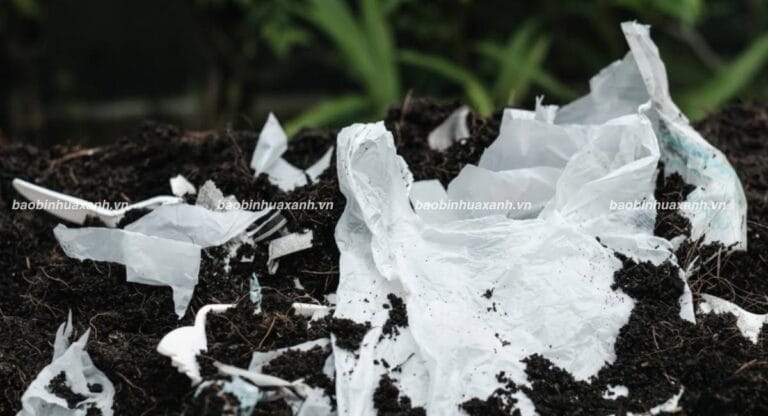 Túi Tự Hủy Mất Bao Lâu Để Phân Hủy? Giải Đáp Chi Tiết