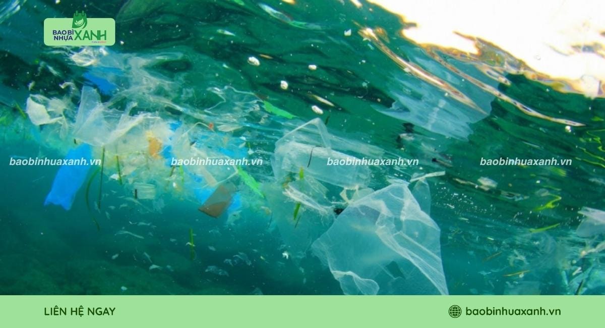 Túi tự hủy sinh học trong môi trường nước