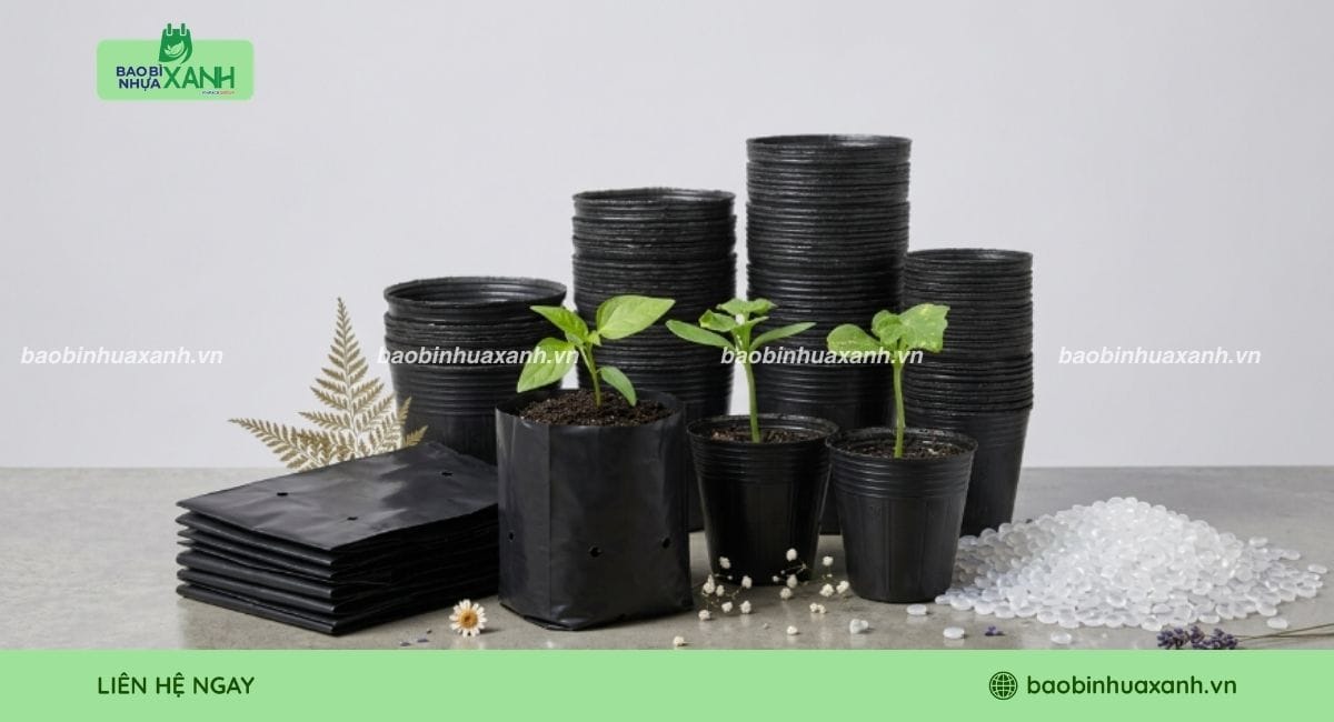 Túi ươm và khay ươm làm từ nhựa tái sinh