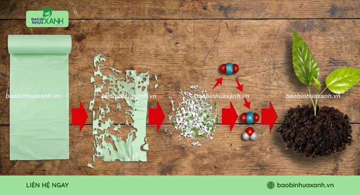 Xu hướng vật liệu bao bì thân thiện môi trường