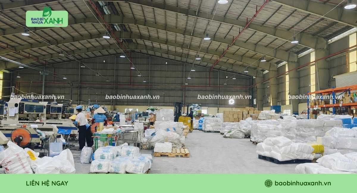 Xưởng Bao Bì Nhựa Xanh chuyên sản xuất màng bọc thực phẩm