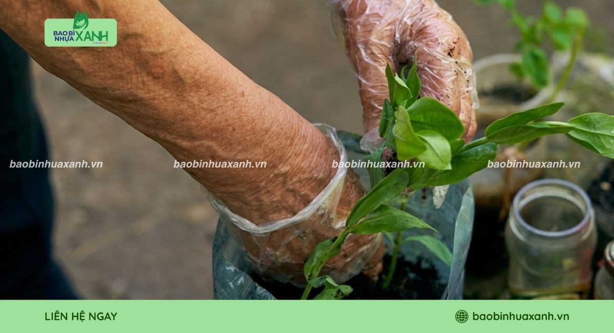 Bao tay nilon dùng trong lúc làm vườn