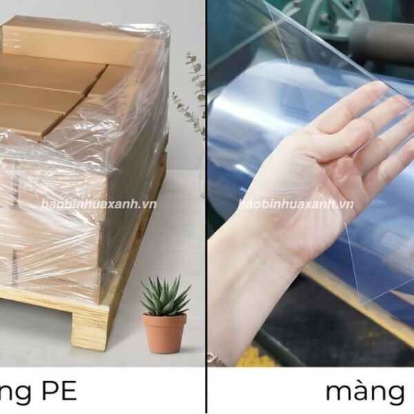 So Sánh Màng PE Và Màng PVC Theo Yêu Cầu Đóng Gói Của Doanh Nghiệp