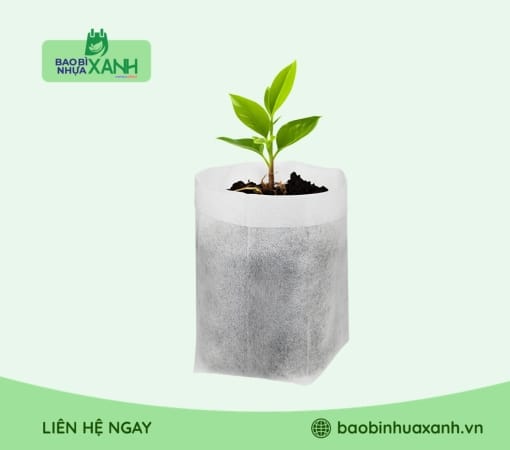 Túi ươm cây tự hủy sinh học