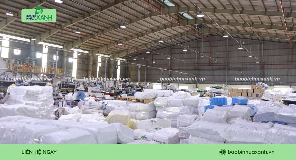 Xưởng chuyên sản xuất túi miệng bằng tự hủy sinh học Bao Bì Nhựa Xanh